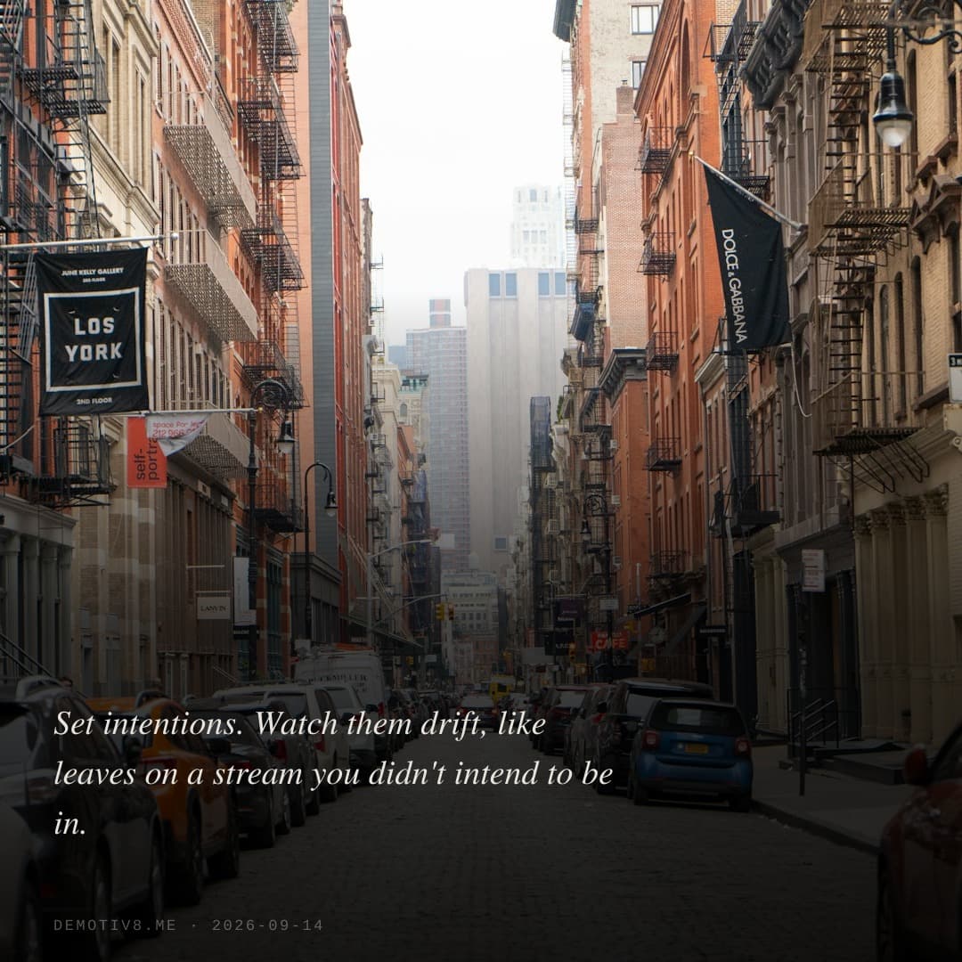 Set intentions. Watch them drift, like leaves on a stream you didn't intend to be in.