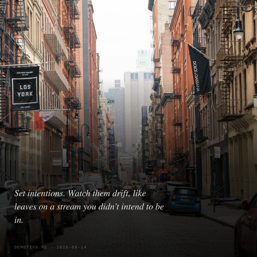 Set intentions. Watch them drift, like leaves on a stream you didn't intend to be in.
