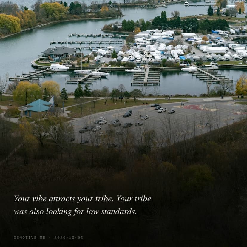 Your vibe attracts your tribe. Your tribe was also looking for low standards.